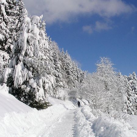 Ferienwohnung Am Eisweiher Titisee-Neustadt Εξωτερικό φωτογραφία