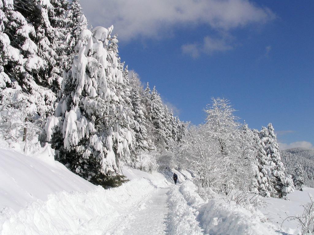 Ferienwohnung Am Eisweiher Titisee-Neustadt Εξωτερικό φωτογραφία