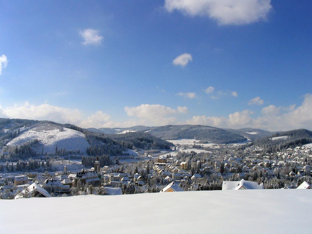 Ferienwohnung Am Eisweiher Titisee-Neustadt Εξωτερικό φωτογραφία