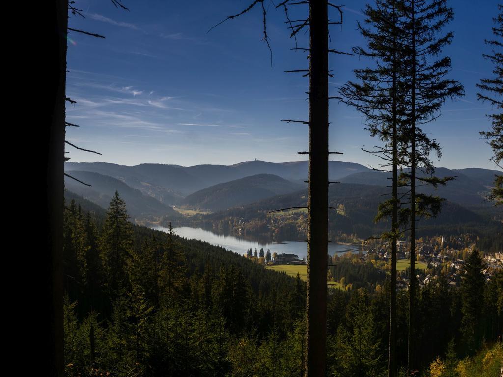 Ferienwohnung Am Eisweiher Titisee-Neustadt Εξωτερικό φωτογραφία