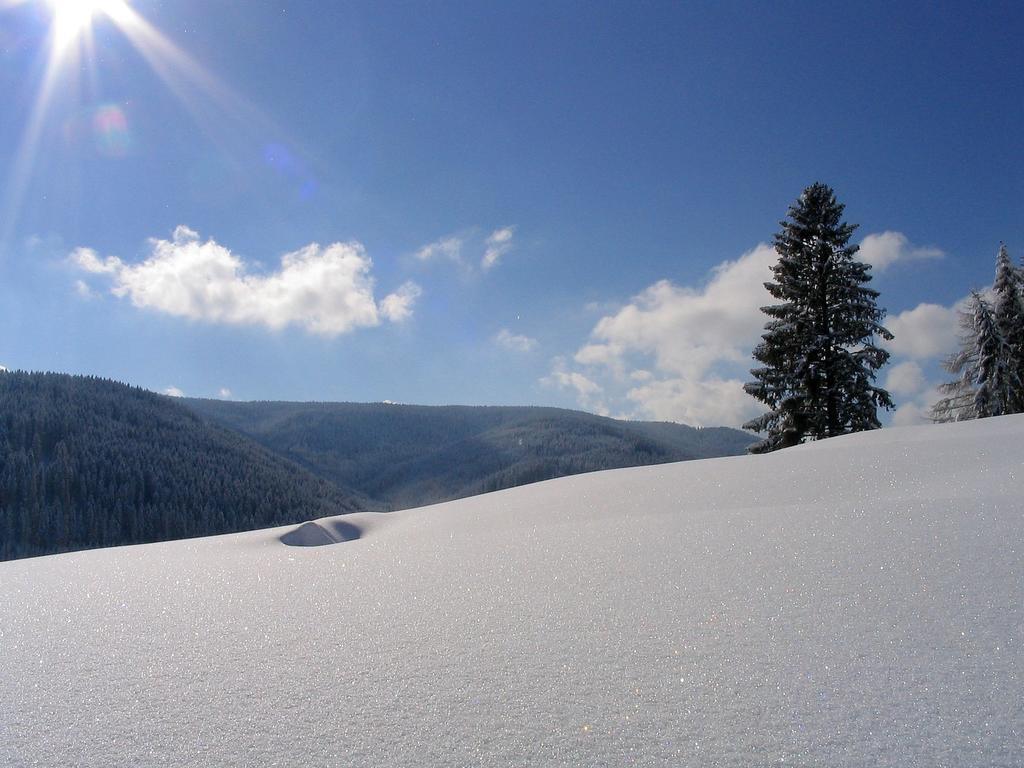 Ferienwohnung Am Eisweiher Titisee-Neustadt Εξωτερικό φωτογραφία